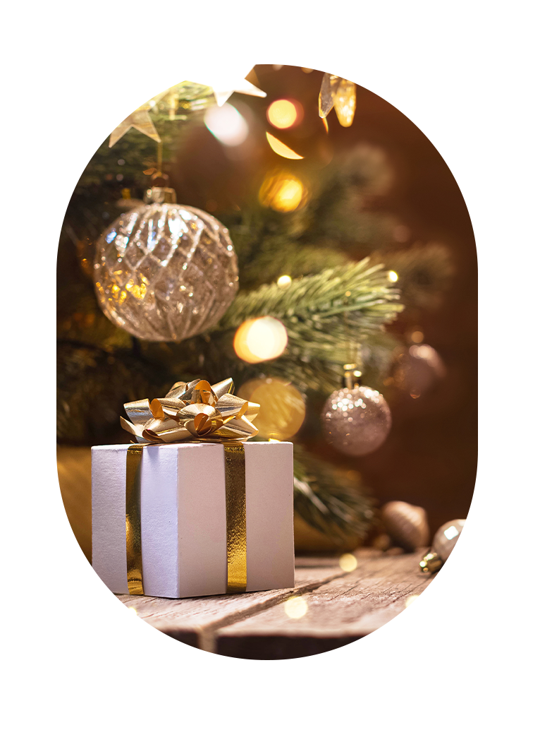 mogans ビッグウィンターセール