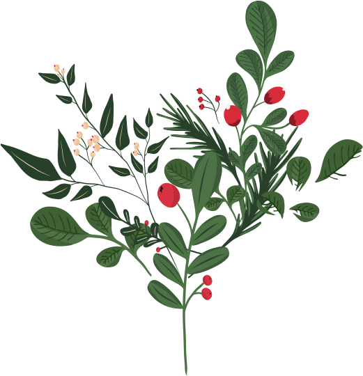 mogans ビッグウィンターセール