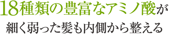 18種類の豊富なアミノ酸が細く弱った髪も内側から整える