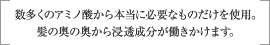 数多くのアミノ酸から本当に必要なものだけを使用。髪の奥の奥から浸透成分が働きかけます。