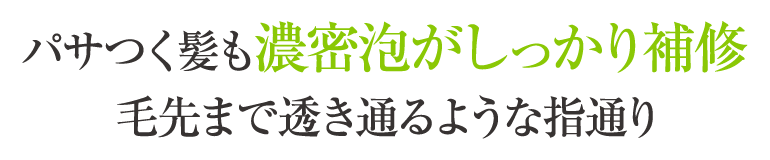 パサつく髪も濃密泡がしっかり補修 毛先まで透き通るような指通り
