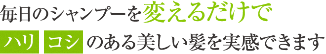 毎日のシャンプーを変えるだけで【ハリ】【コシ】のある美しい髪を実感できます