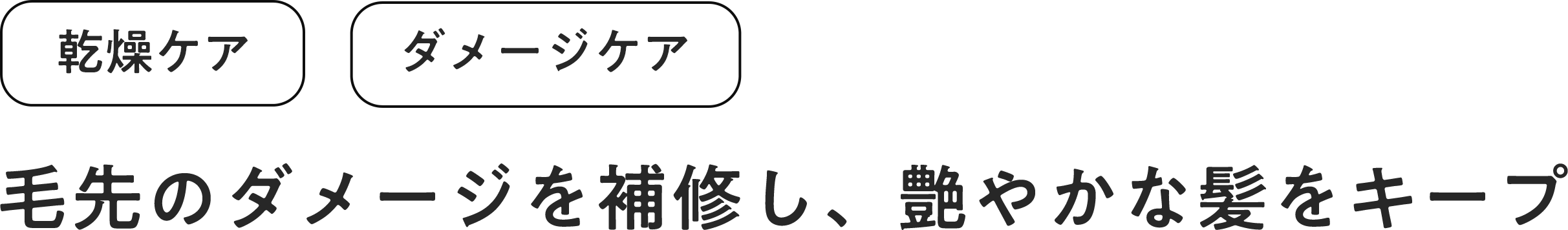 毛先のダメージを補修し、艶やかな髪をキープ